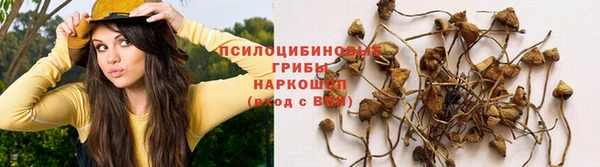 прущая мука Вязьма