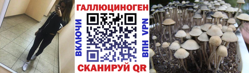 Галлюциногенные грибы Magic Shrooms  kraken онион  Чусовой 