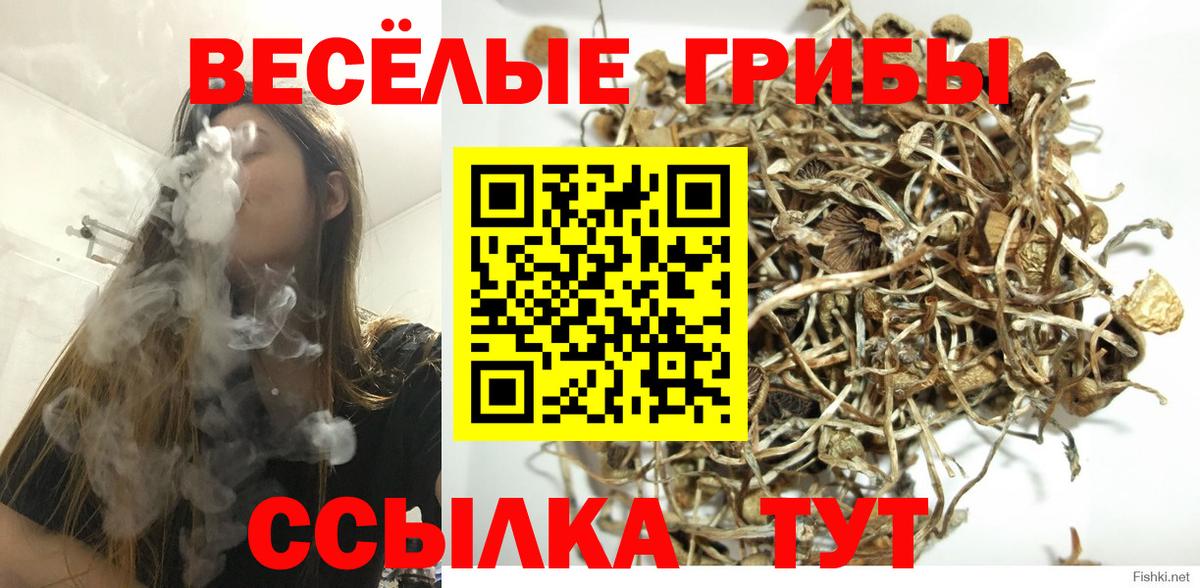 Чусовой  Галлюциногенные грибы мухоморы  Вход с VPN 