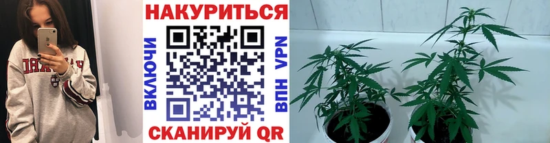 Бошки марихуана конопля  Чусовой 
